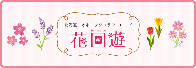 北海道・オホーツクフラワーロード 花回遊