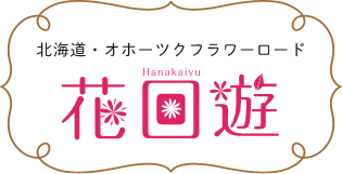 花回遊