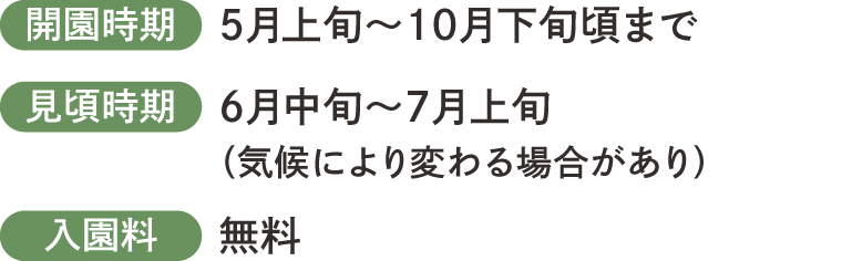 開園時期は5月上旬~19月下旬ごろまで。見頃時期は6月中旬~7月上旬。入園料は無料